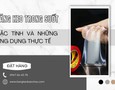 Mua sắm, Tổng Hợp