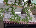 Mua Bán nhà đất