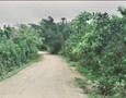 Mua Bán nhà đất