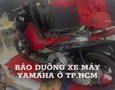 Xe máy, Xe đạp