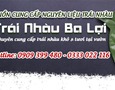 Mua sắm, Tổng Hợp