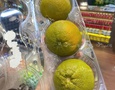 Cơ hội giao thương