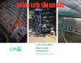 Vườn, Ngoại thất