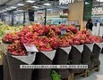 Đồ nội thất