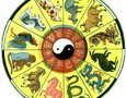 Mua sắm, Tổng Hợp
