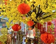 Mua sắm, Tổng Hợp
