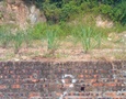 Mua Bán nhà đất