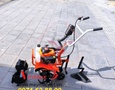 Mua sắm, Tổng Hợp