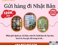 Cơ hội giao thương