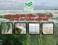 Mua sắm, Tổng Hợp