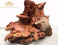 Cơ hội giao thương