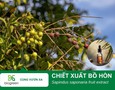 Cơ hội giao thương