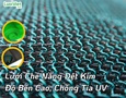 Cơ hội giao thương