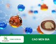 Cơ hội giao thương