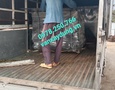 Cơ hội giao thương