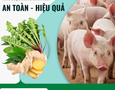 Mua sắm, Tổng Hợp