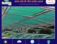 Vườn, Ngoại thất