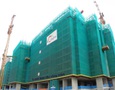Mua sắm, Tổng Hợp