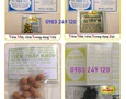 Mua sắm, Tổng Hợp