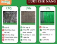 Cơ hội giao thương