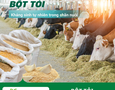 Mua sắm, Tổng Hợp