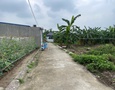 Mua Bán nhà đất