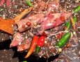 Điện lạnh, Máy, Gia dụng
