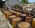 Điện lạnh, Máy, Gia dụng