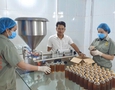 Điện lạnh, Máy, Gia dụng