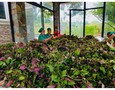 Điện lạnh, Máy, Gia dụng