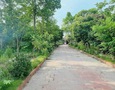 Mua Bán nhà đất