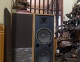 Điện tử, Kỹ thuật số