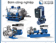 Điện lạnh, Máy, Gia dụng