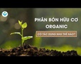 Vườn, Ngoại thất