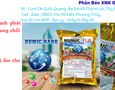 Cơ hội giao thương