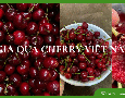 Mua sắm, Tổng Hợp