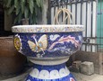Vườn, Ngoại thất