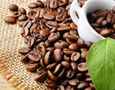 Mua sắm, Tổng Hợp