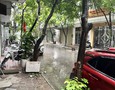 Cho thuê nhà