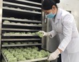 Điện lạnh, Máy, Gia dụng
