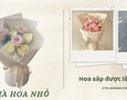 Vườn, Ngoại thất