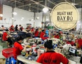 Vườn, Ngoại thất