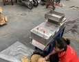 Điện lạnh, Máy, Gia dụng