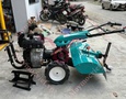 Vườn, Ngoại thất
