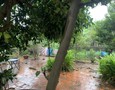 Mua Bán nhà đất