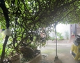 Mua Bán nhà đất