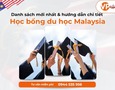 Mua sắm, Tổng Hợp