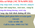 Cơ hội giao thương