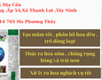 Cơ hội giao thương