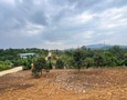Mua Bán nhà đất